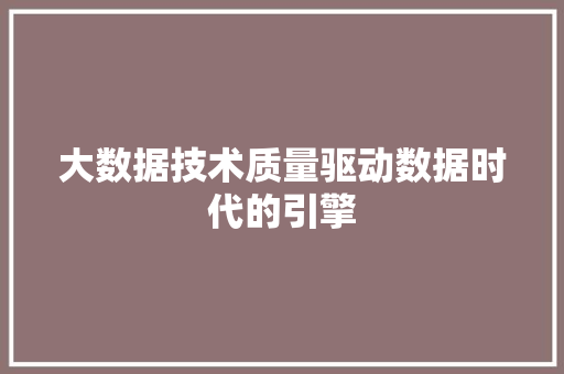 大数据技术质量驱动数据时代的引擎