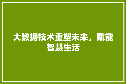 大数据技术重塑未来，赋能智慧生活