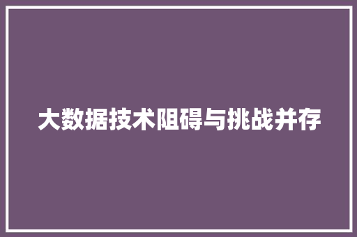 大数据技术阻碍与挑战并存