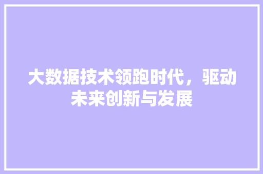 大数据技术领跑时代，驱动未来创新与发展