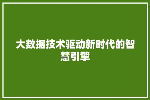 大数据技术驱动新时代的智慧引擎  第1张