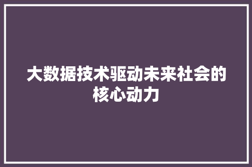 大数据技术驱动未来社会的核心动力