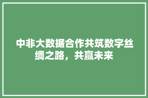 中非大数据合作共筑数字丝绸之路，共赢未来