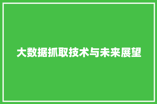 大数据抓取技术与未来展望  第1张