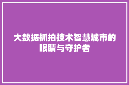 大数据抓拍技术智慧城市的眼睛与守护者