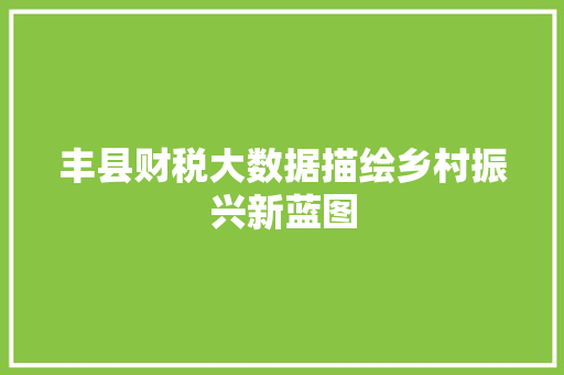 丰县财税大数据描绘乡村振兴新蓝图