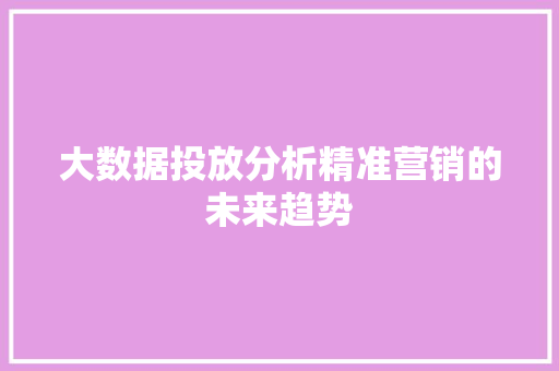 大数据投放分析精准营销的未来趋势