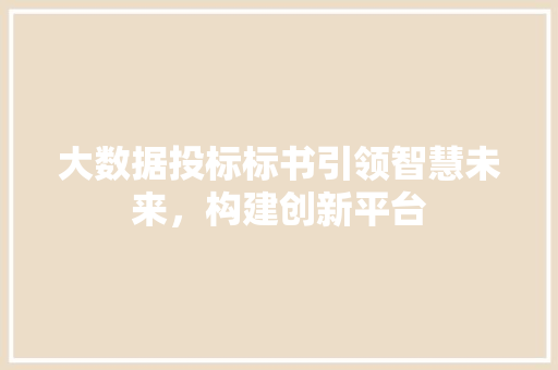 大数据投标标书引领智慧未来，构建创新平台