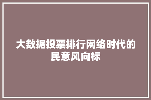 大数据投票排行网络时代的民意风向标