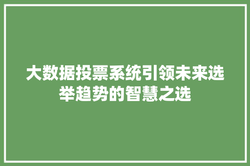 大数据投票系统引领未来选举趋势的智慧之选
