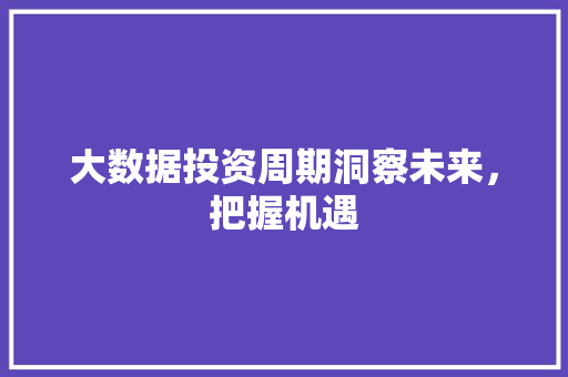 大数据投资周期洞察未来，把握机遇