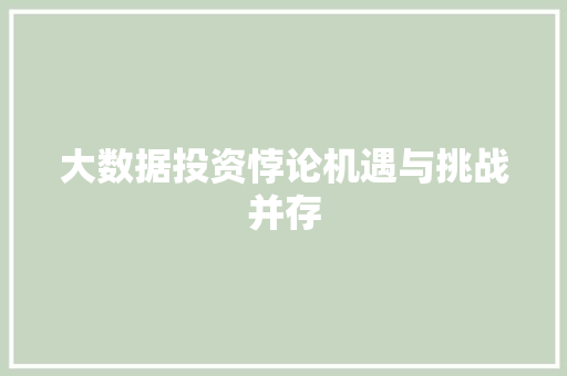 大数据投资悖论机遇与挑战并存