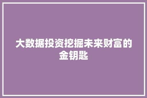 大数据投资挖掘未来财富的金钥匙