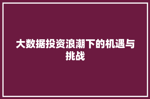 大数据投资浪潮下的机遇与挑战