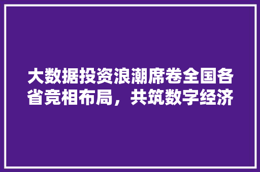 大数据投资浪潮席卷全国各省竞相布局，共筑数字经济新篇章