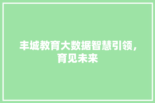 丰城教育大数据智慧引领，育见未来