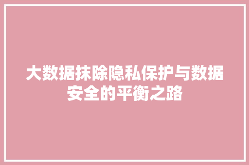 大数据抹除隐私保护与数据安全的平衡之路  第1张