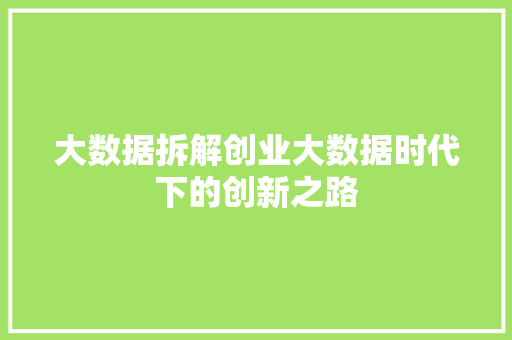 大数据拆解创业大数据时代下的创新之路