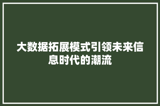 大数据拓展模式引领未来信息时代的潮流