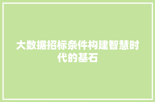 大数据招标条件构建智慧时代的基石