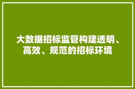 大数据招标监管构建透明、高效、规范的招标环境