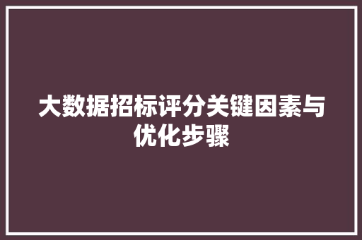 大数据招标评分关键因素与优化步骤