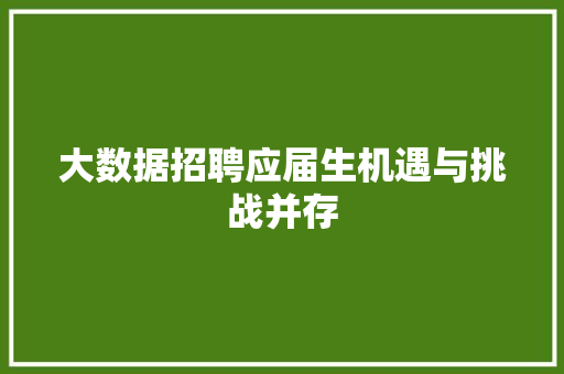 大数据招聘应届生机遇与挑战并存