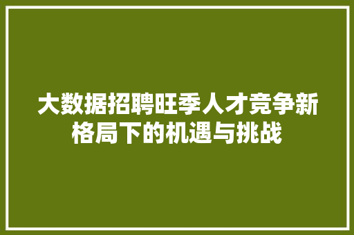 大数据招聘旺季人才竞争新格局下的机遇与挑战