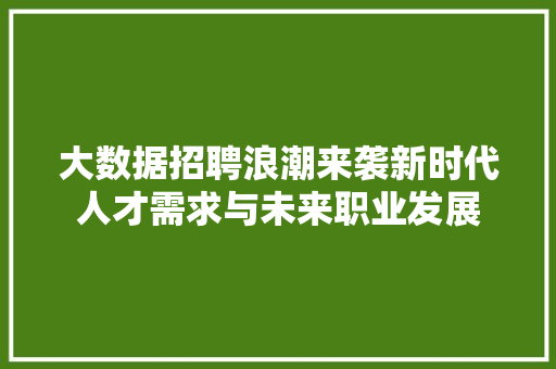 大数据招聘浪潮来袭新时代人才需求与未来职业发展