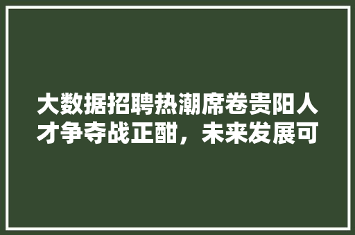 大数据招聘热潮席卷贵阳人才争夺战正酣，未来发展可期