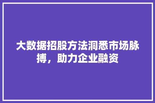 大数据招股方法洞悉市场脉搏，助力企业融资  第1张