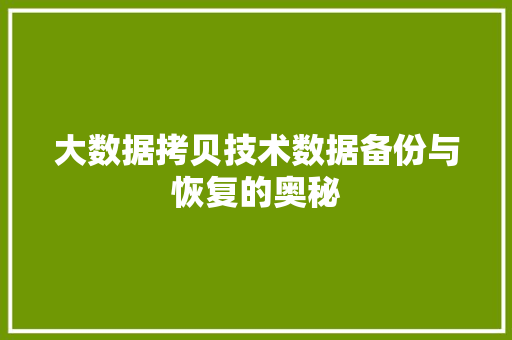 大数据拷贝技术数据备份与恢复的奥秘  第1张