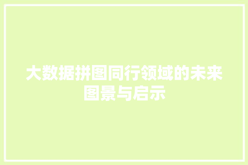 大数据拼图同行领域的未来图景与启示