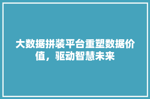 大数据拼装平台重塑数据价值，驱动智慧未来
