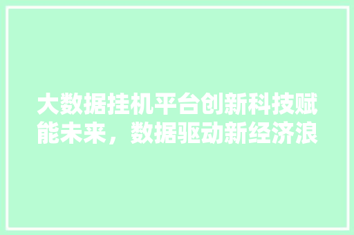 大数据挂机平台创新科技赋能未来，数据驱动新经济浪潮