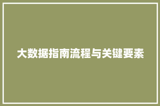 大数据指南流程与关键要素  第1张