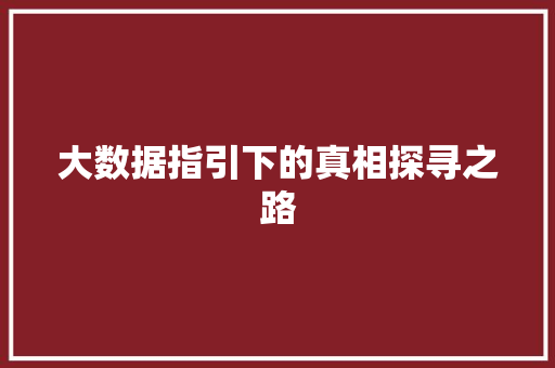 大数据指引下的真相探寻之路