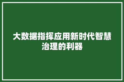 大数据指挥应用新时代智慧治理的利器