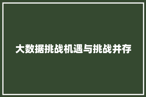 大数据挑战机遇与挑战并存  第1张
