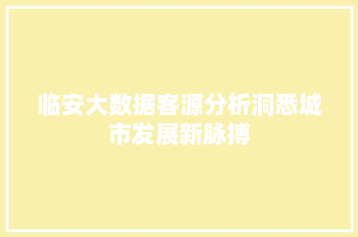 临安大数据客源分析洞悉城市发展新脉搏
