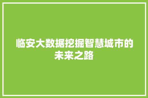 临安大数据挖掘智慧城市的未来之路
