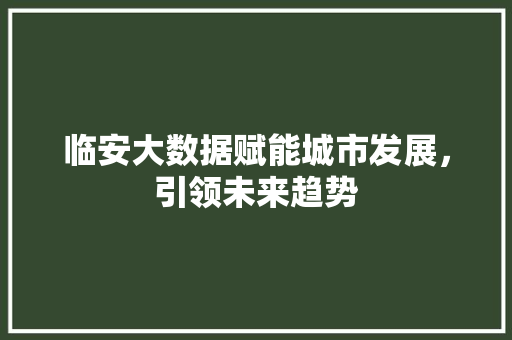 临安大数据赋能城市发展，引领未来趋势