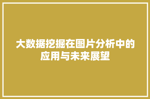 大数据挖掘在图片分析中的应用与未来展望  第1张