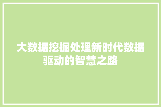 大数据挖掘处理新时代数据驱动的智慧之路  第1张