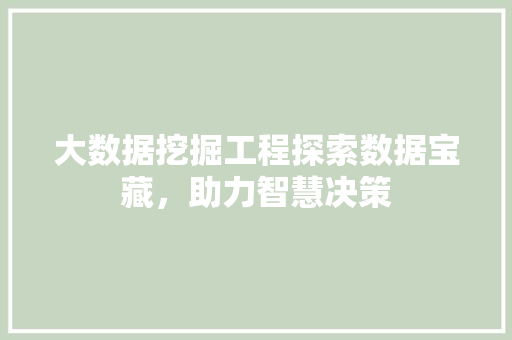 大数据挖掘工程探索数据宝藏，助力智慧决策  第1张