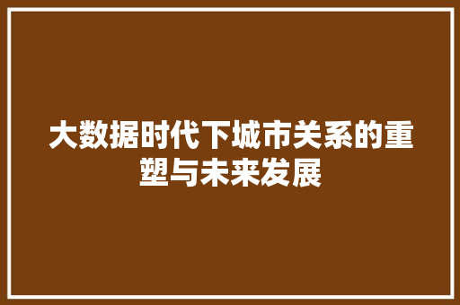 大数据时代下城市关系的重塑与未来发展