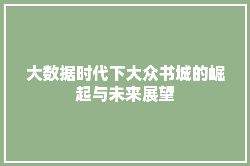 大数据时代下大众书城的崛起与未来展望
