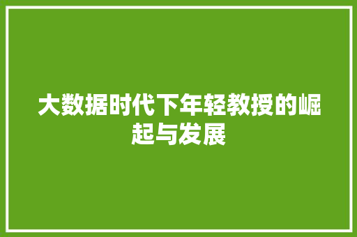 大数据时代下年轻教授的崛起与发展