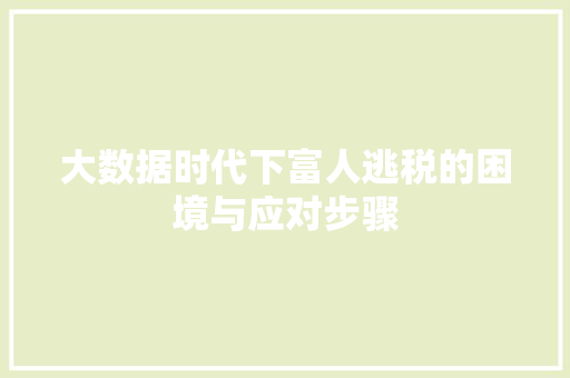大数据时代下富人逃税的困境与应对步骤