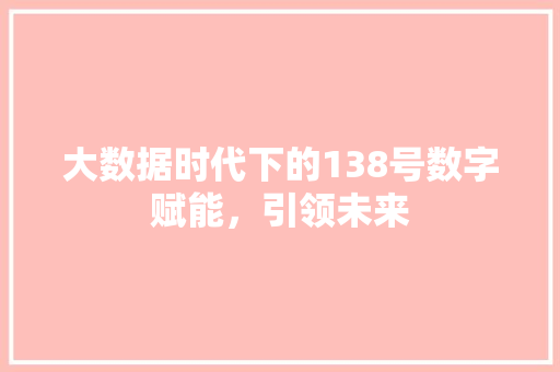 大数据时代下的138号数字赋能，引领未来